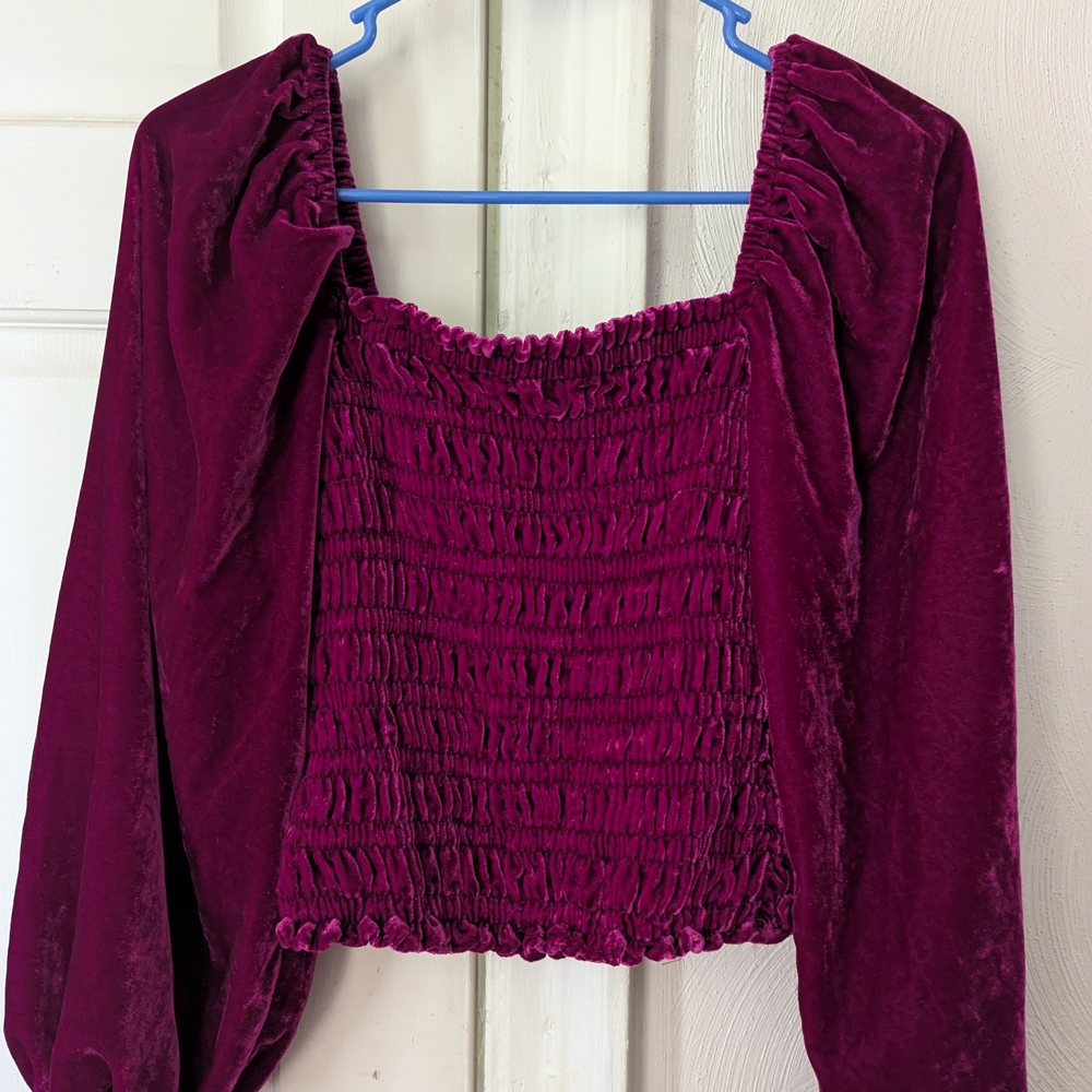 Anthropologie Red Smocked Puff Sleeve Crop Top